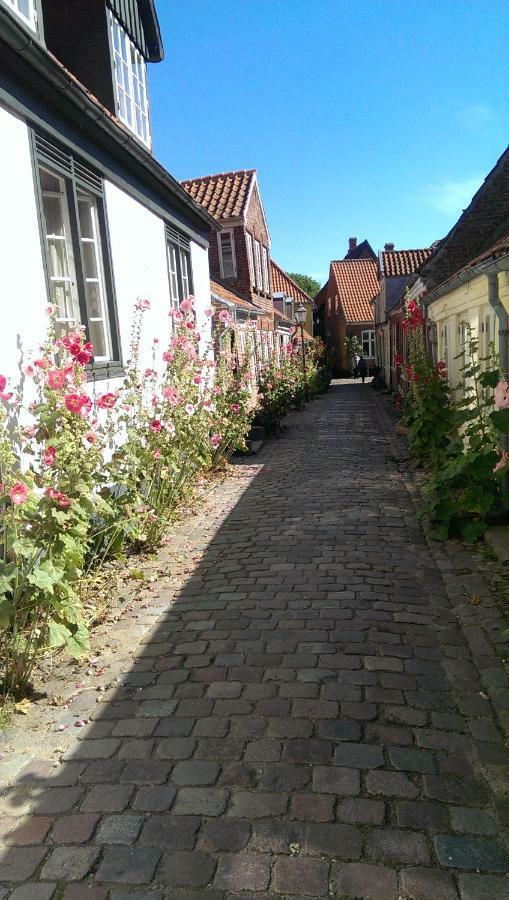 Peder Dovns Slippe Villa Ribe Eksteriør bilde
